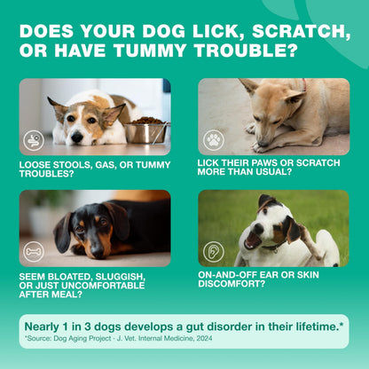 Probiotics for Dogs Gut & Digestive Health, Itchy Skin & Yeast Support