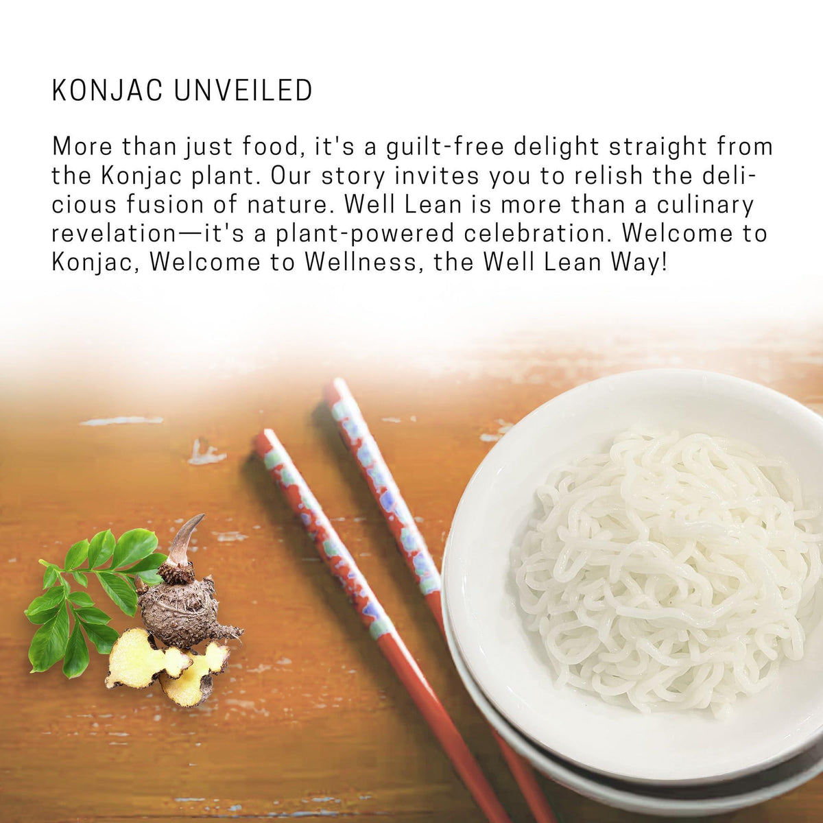 Organic Konjac Shirataki Noodles 12 Pack Gluten Free Keto Friendly Low Carb Low Calorie 100% Plant Based Net Carbs 4g