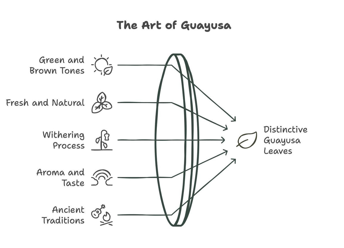 Guayusa Tea   32oz (2LB)  Organic Loose Leaf Tea  Traditional Guayusa Loose Leaf  66mg Caffeine   Antioxidants & L Theanine  Yerba Mate & Coffee Alternative