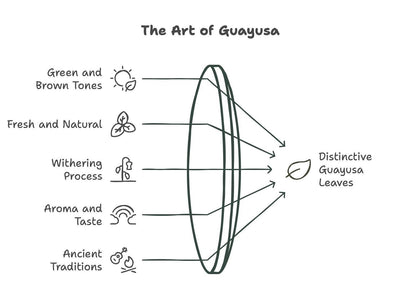 Guayusa Tea   32oz (2LB)  Organic Loose Leaf Tea  Traditional Guayusa Loose Leaf  66mg Caffeine   Antioxidants & L Theanine  Yerba Mate & Coffee Alternative