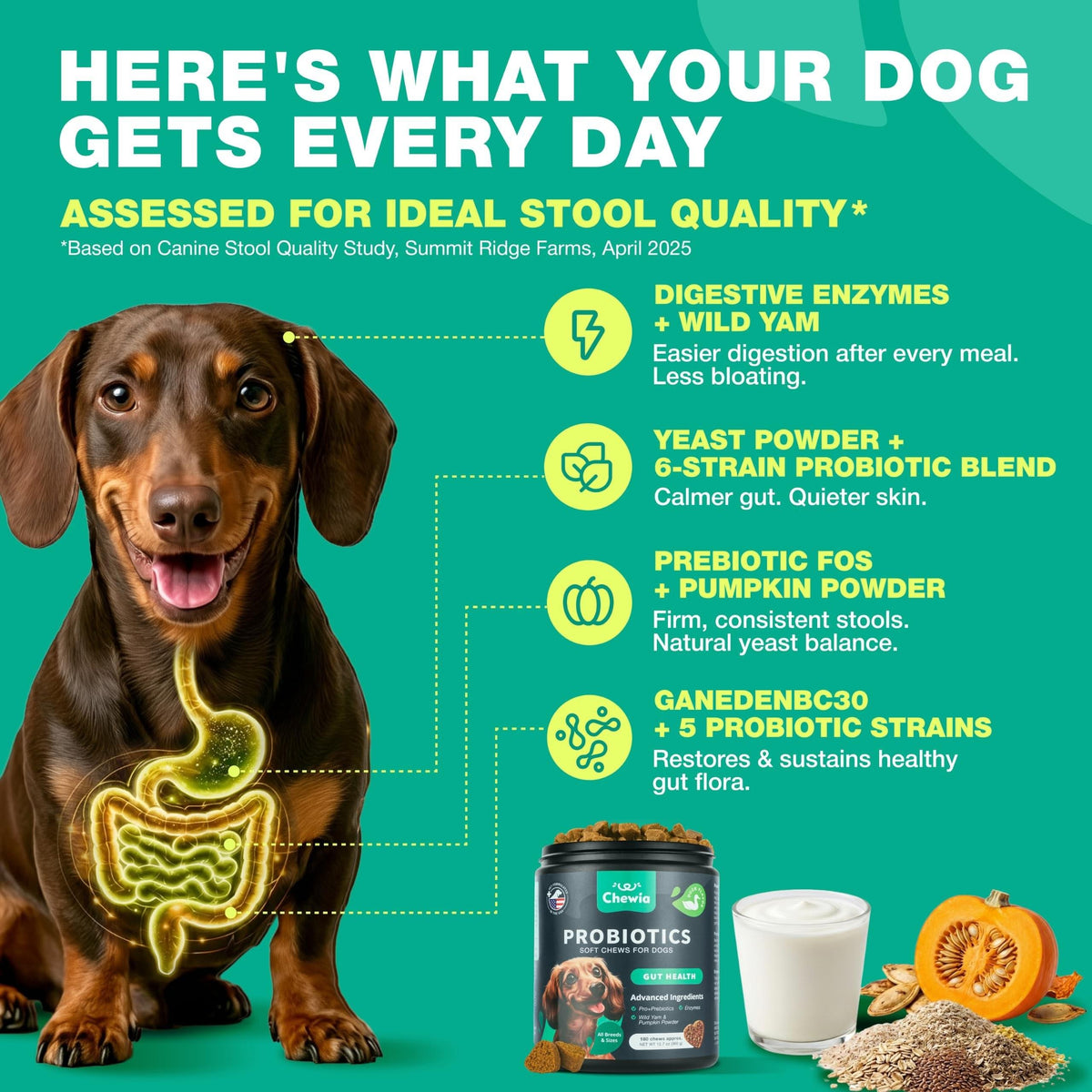 Probiotics for Dogs Gut & Digestive Health, Itchy Skin & Yeast Support