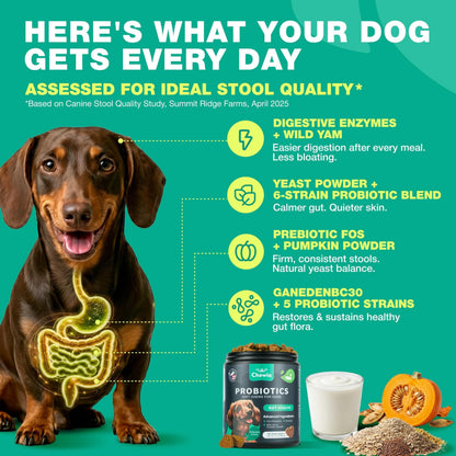 Probiotics for Dogs Gut & Digestive Health, Itchy Skin & Yeast Support