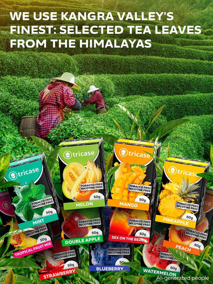 11 pcs Shisha Hookah Flavors Set 1.7 oz Each Sex on the Beach, Melon, Peach, Hookah Flavor Mint, Pineapple, Double Apple Hookah Flavor, Strawberry, Blueberry, Tropical Fruit Mix, Watermelon, Mango