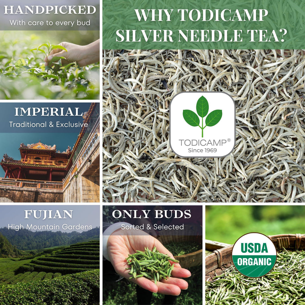 Organic Silver Needle Tea   1 lb of Premium Organic White Tea Loose Leaf